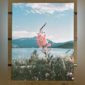 8x10 inch print ($10 each or 20% off in a bundle!)